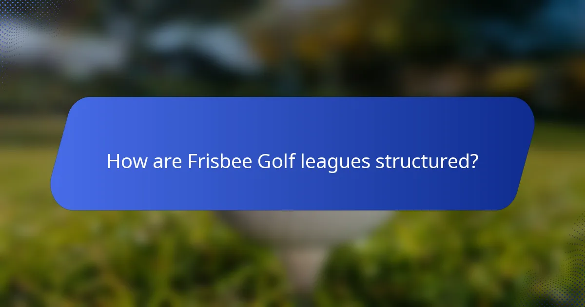 How are Frisbee Golf leagues structured?